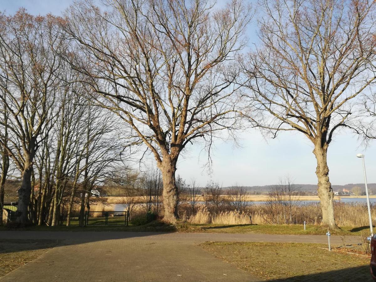Sellin - Seedorf Am Neuensiener See Apartment 08 Екстериор снимка